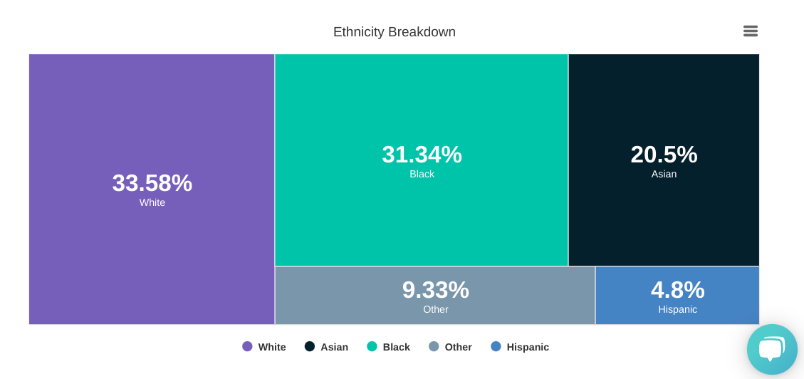 Ethnicity Breakdown Chart